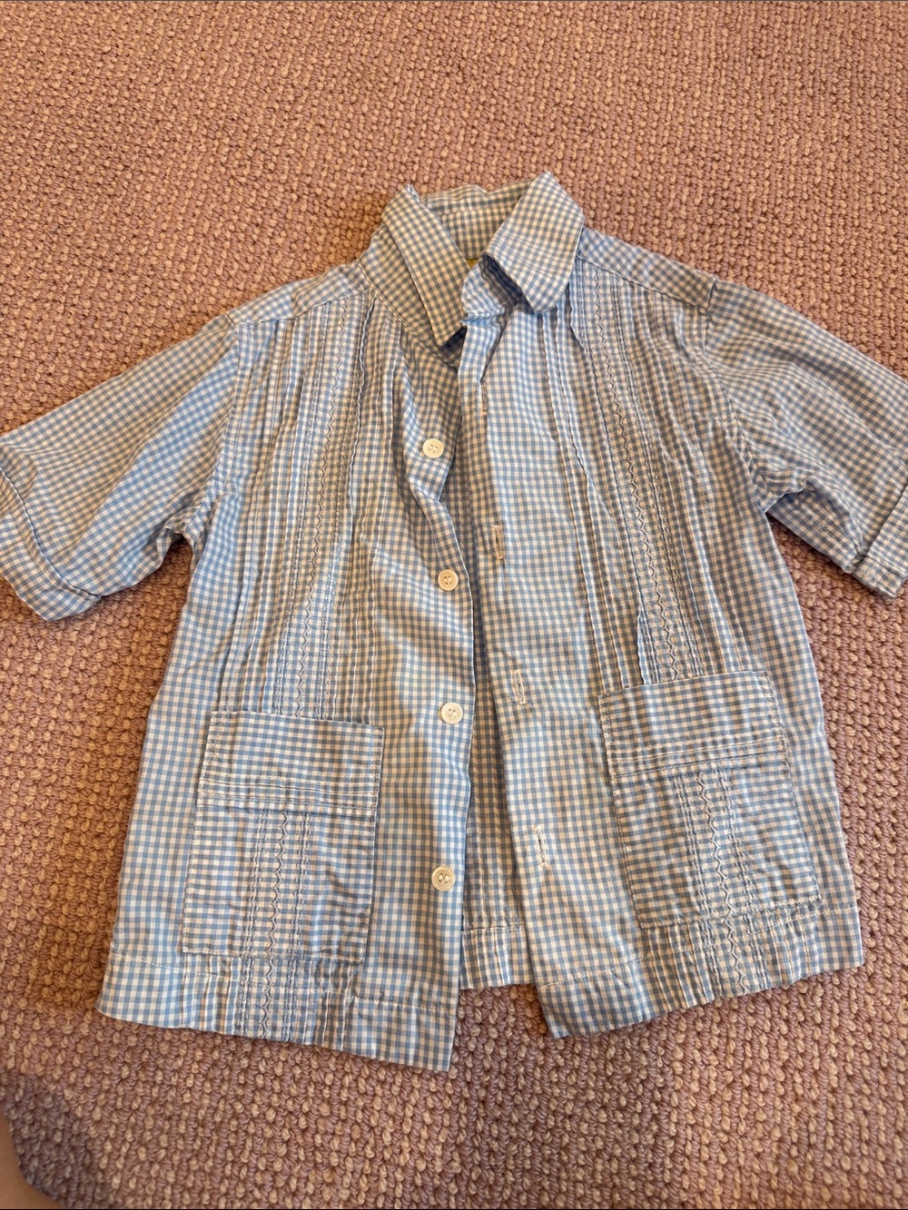 Dos Carolinas Kids Guayabera Blue Gingham Short-Sleeve Button-Down Shirt